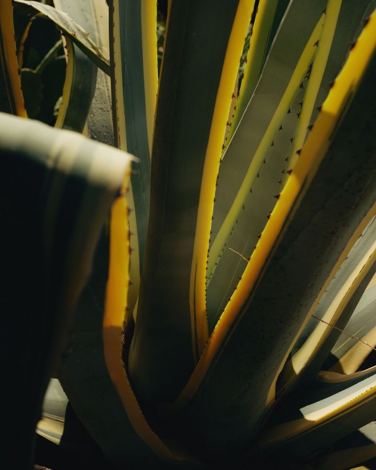 Alpaca–wool tie-dye, inspired by nature’s palette, crafted with precision.

#POMANDÈRE #SS26