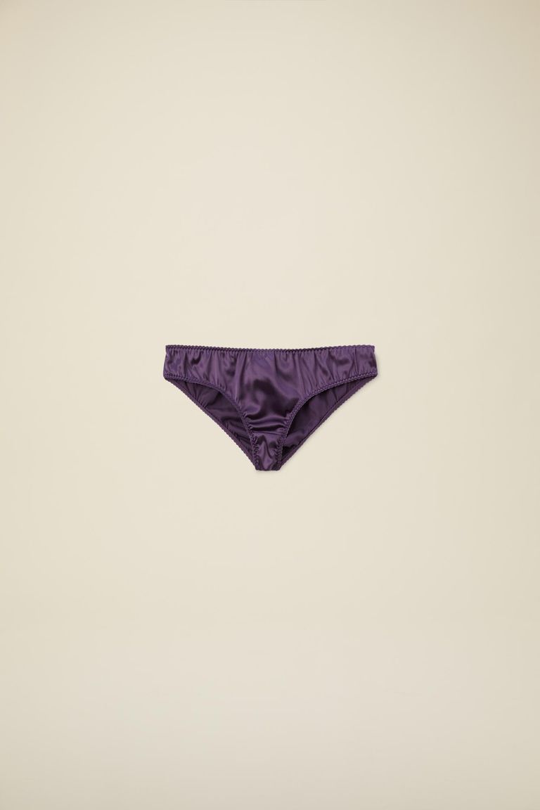 Silk satin briefs
