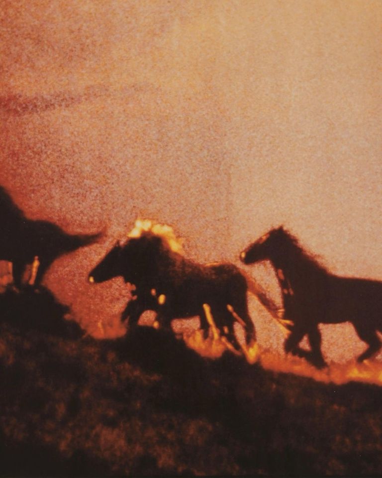 Wild, Soft, Free.

Richard Prince - Untitled (Cowboy), 1993