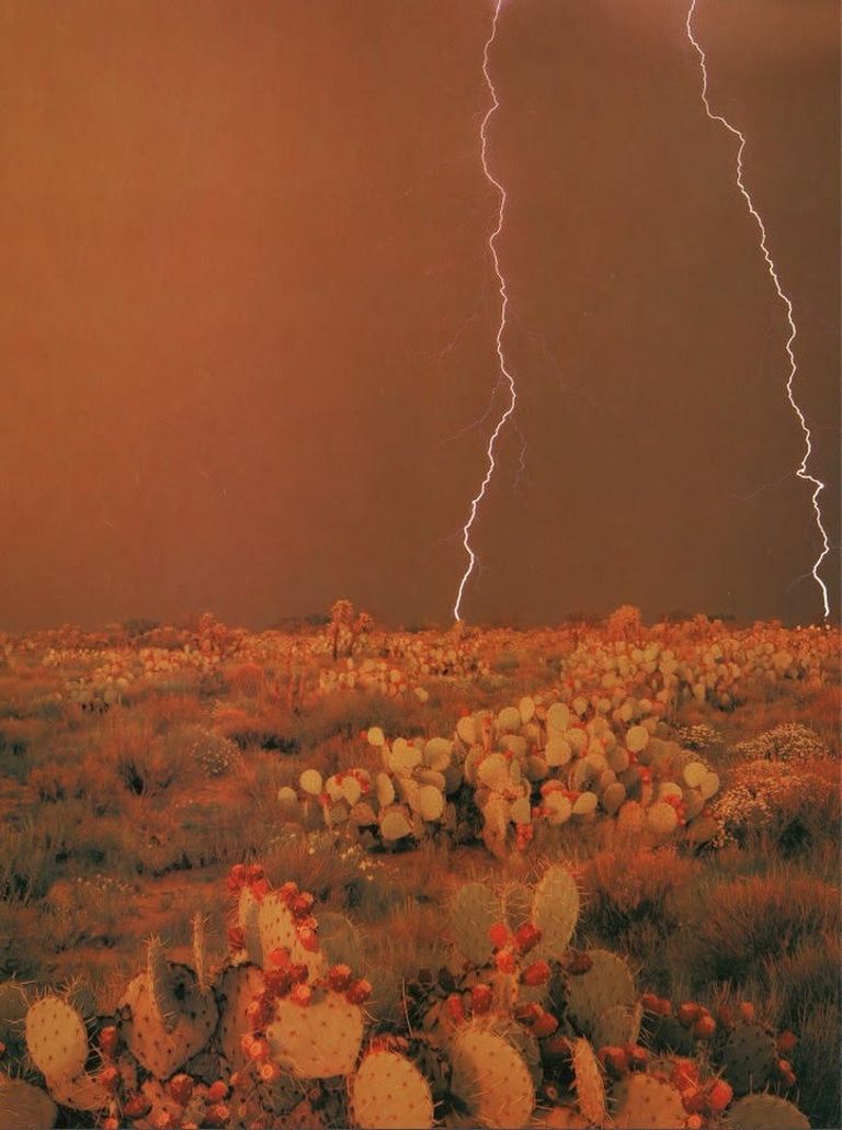 Even a flash of lightning reminds us of nature’s power and harmony.

#POMANDÈRE #SS26