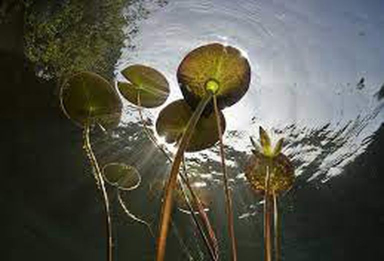 Primavera Estate 2025_Look28