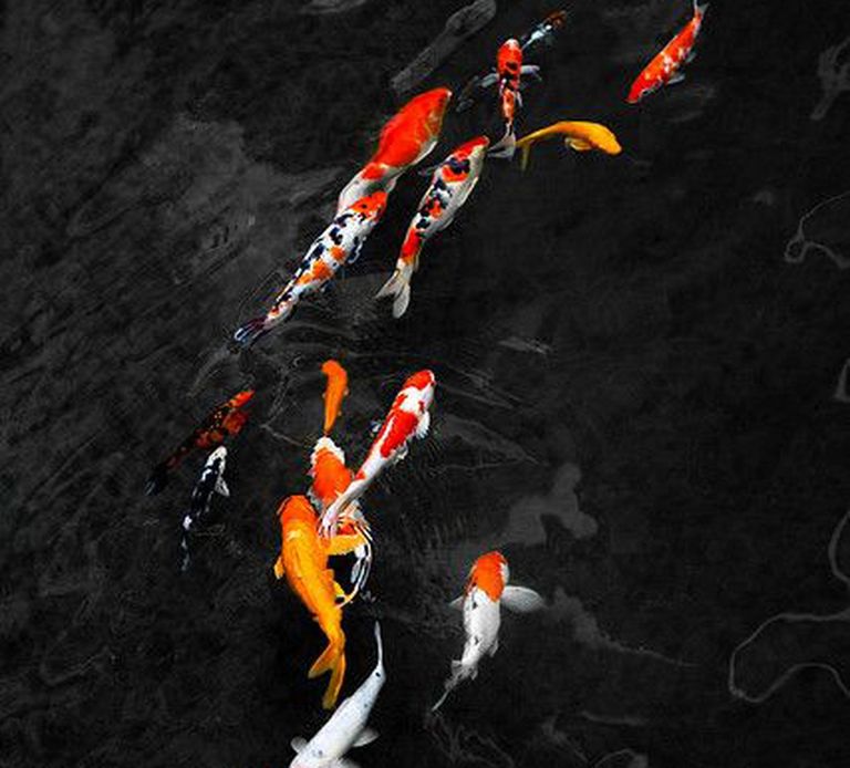 Primavera Estate 2025_Look28